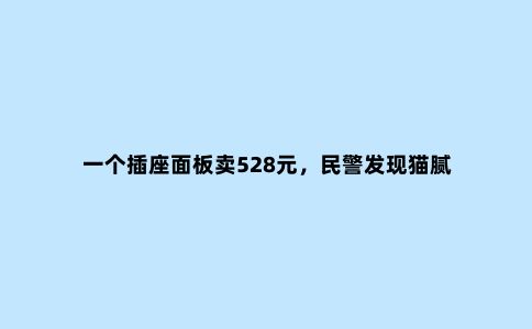 一个插座面板卖528元，民警发现猫腻