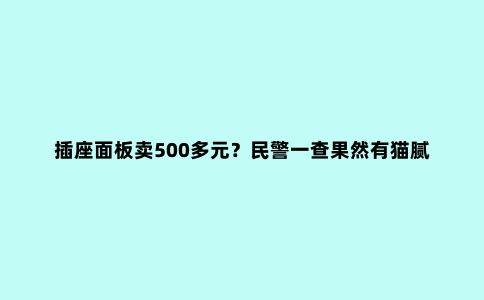 插座面板卖500多元?民警一查果然有猫腻