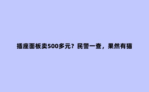 插座面板卖500多元?民警一查,果然有猫腻