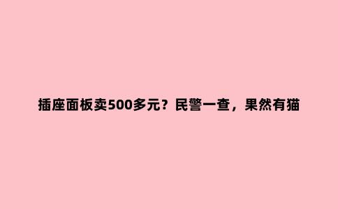 插座面板卖500多元?民警一查,果然有猫腻