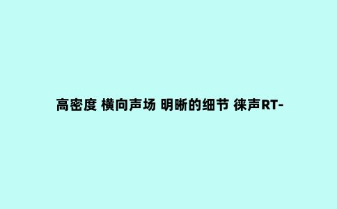 高密度 横向声场 明晰的细节 徕声RT-5商品观察