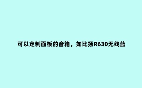 可以定制面板的音箱，如比扬R630无线蓝牙音箱
