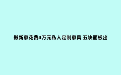 搬新家花费4万元私人定制家具 五块面板出三种颜色