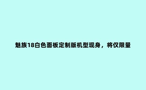 魅族18白色面板定制版机型现身,将仅限量88部