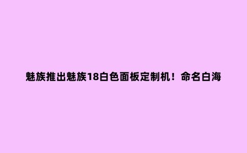 魅族推出魅族18白色面板定制机!命名白海逐浪***限量88套