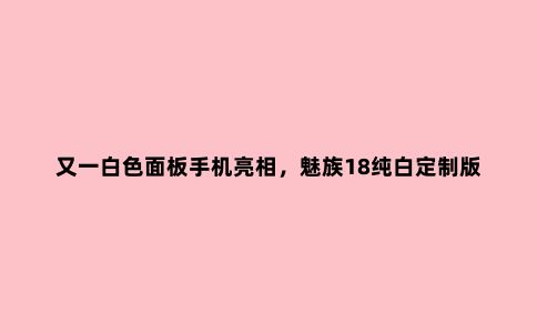 又一白色面板手机亮相，魅族18纯白定制版本上线