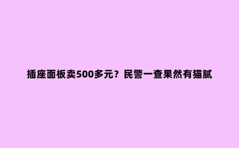 插座面板卖500多元？民警一查果然有猫腻