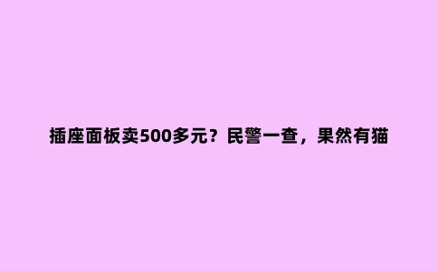 插座面板卖500多元?民警一查,果然有猫腻