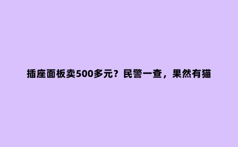 插座面板卖500多元?民警一查,果然有猫腻