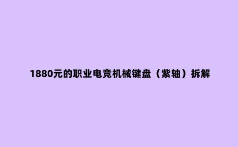 1880元的职业电竞机械键盘(紫轴)拆解