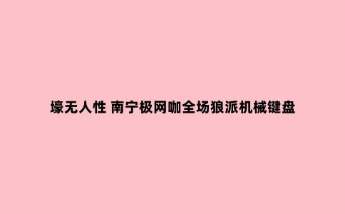 壕无人性 南宁极网咖全场狼派机械键盘
